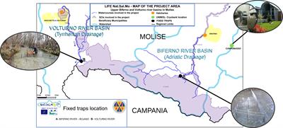 The role of semen cryobanks for protecting endangered native salmonids: Advantages and perspectives as outlined by the LIFE Nat.Sal.Mo. project on Mediterranean brown trout (Molise region – Italy)